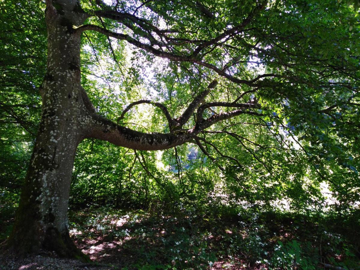 Ferienwohnung Mit Kleinem Garten Sonnenbuhl Bagian luar foto