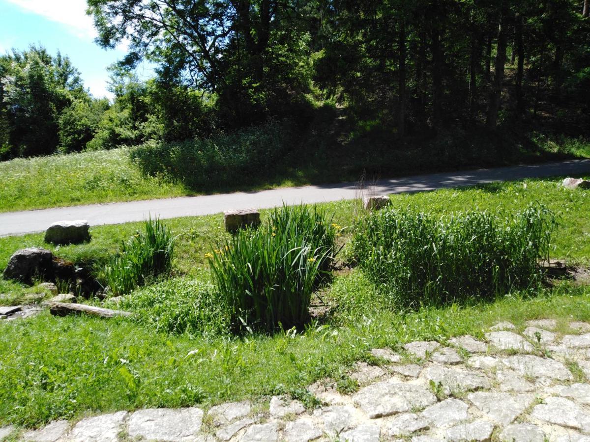 Ferienwohnung Mit Kleinem Garten Sonnenbuhl Bagian luar foto