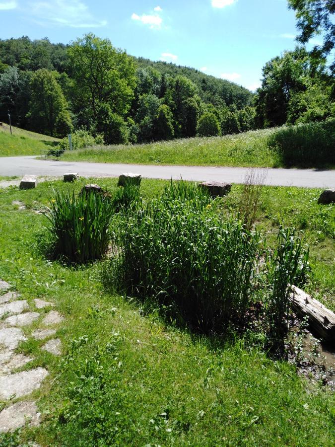 Ferienwohnung Mit Kleinem Garten Sonnenbuhl Bagian luar foto