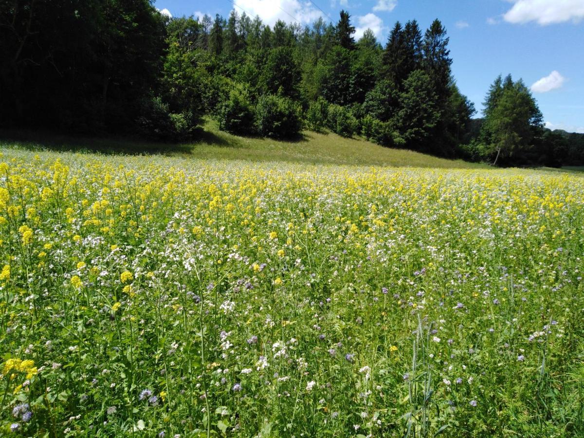 Ferienwohnung Mit Kleinem Garten Sonnenbuhl Bagian luar foto